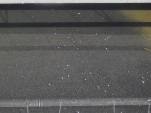 Das Dunkel - ich glaub`s ja nicht!