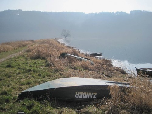 Über Kopf benennt das Anglerboot einen der berühmten Edersee-Zielfische.
