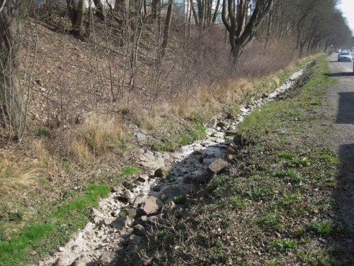Wie Hamburg hat auch die Hansestadt Korbach Wasserprobleme - durch Trinkwasserentnahme geschwächte Quellbäche ...