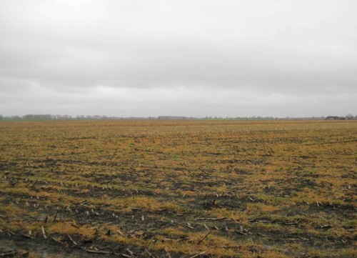 Bis zum Horizont ... Verbietet endlich diese flächenhaften Boden-, Wasser-, Tier- und Pflanzenvergiftungen!