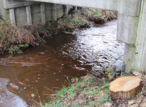 Dieses Gefälle wird in regelmäßigen Abständen durch z.T. rampenähnliche Sohlgleiten aus Wasserbaustein aufgefangen.