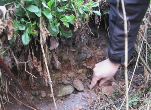 Wir sehen im Weggehen den vom ehemaligen Gewässerausbau durchschnittenen mehrere Dezimeter dicken Kies-/Geröllhorizont des Gohbachs - beeindruckend!