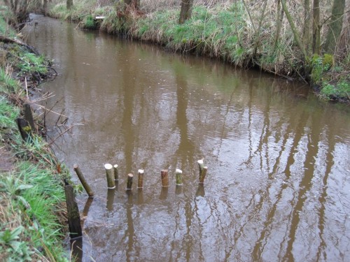 Alle sind sich einig, dass auch bis doppelt so lange Treibselsammler keinerlei Abflussproblem hervorrufen würden.