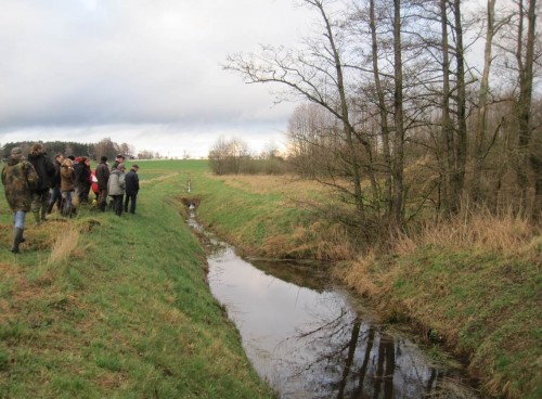 Oha, armer kleiner Steinbach, soll diese mit Sand und Schlamm gefüllte Überbreite etwa einen Sandfang darstellen?