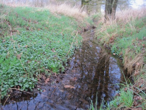 Etwas bachauf täuscht eine baumbestandene Strecke Naturnähe vor. Die Stockprobe zeigt weiches Sediment, offenbar ist hier eine früher übertiefe Strecke eingestaut worden.