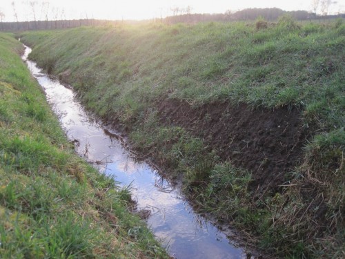 Regelhaft gehören verletzte Uferböschungen zum Bild harter Unterhaltung dazu.