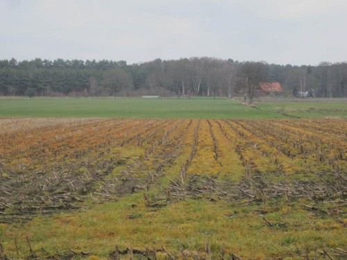 So sieht er aus, der frühlinghafte ländliche Raum - sehen nun auch Sie den "orangen Blitz"?