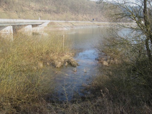 Meinen Parkplatz wähle ich am Südufer östlich der beiden Herzhäuser Ederbrücken.