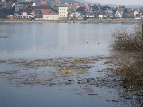 Blick über die Laichwiesen - Herzhausen liegt im Sonnenschein. Dort werde ich gleich den Uferweg entlanglaufen.