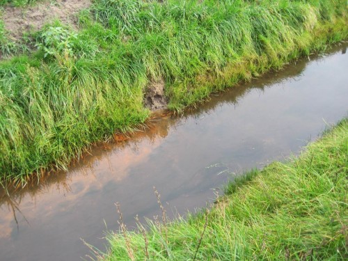 Angesichts der Übersubventionierung der Landwirtschaft, z.B. über das Erneuerbare-Energie-Gesetz, ist so viel Geld in der Fläche, dass Neudränagen flächig spriessen. - Und wieder ergiesst sich durch neu gestörten Bodenwasserhaushalt massiv Eisenocker z.B. in Forellenlaichbäche. (Aber macht wohl nichts, sind ja ohnehin zerstört, vgl. vorhergehendes Foto)