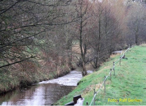Gute Restaurierungsbedingungen angesichts der Sohlrampen/-gleiten: dazwischen kann, so lange die drüber liegende Starkgefällesituation nicht völlig eingestaut wird, so gut wie alles Wünschenswerte an Strukturverbesserung realisiert werden.