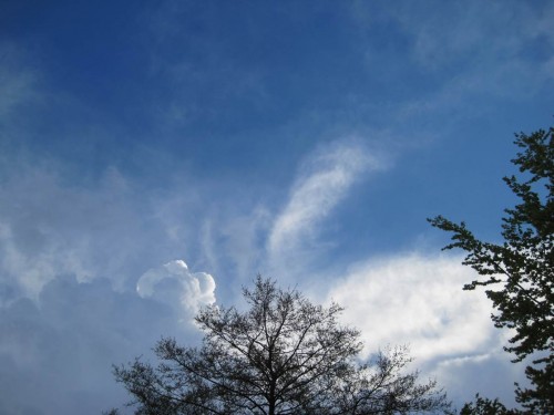 Schickes Wetter mit kleinem Wolkenturm - das sieht fast wie Gewitter aus.