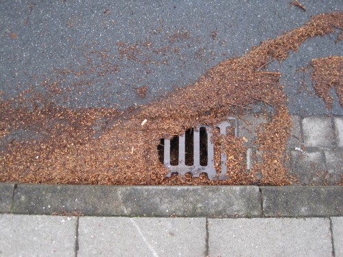 Buchenspelzen (es gibt tatsächlich Dödel, die halten die für Fichtennadeln ...) - zusammengeschwemmt.