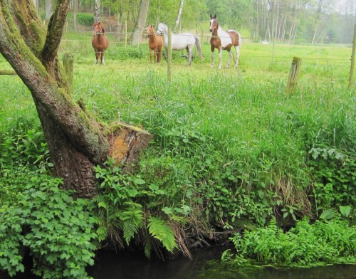 Ey, guckt mal, was `s` `n hier los?!