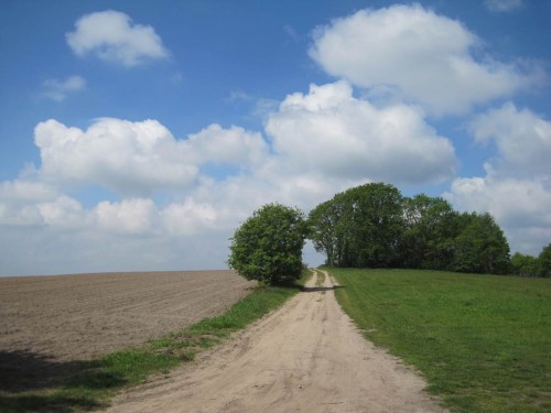 Was für ein Postkartenfoto, wie gut, dass wir die Route geändert haben angesichts des Nebels am Morgen! - Das Dach der Welt, ok, angesichts von ca. 80 m über NN ist das nur ein Flachdach. - Aber was ist das für ein Umgang mit dem Boden!? Ein halbes Jahr liegt der ungeschützt durch Vegetation. Nachhaltiger Umgang mit den Ressourcen Boden, Wasser, Luft sieht anders aus.
