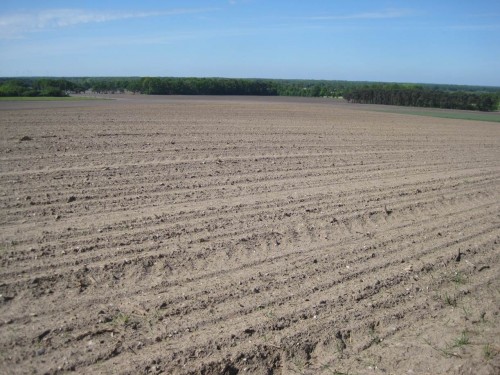 Boden ! ? - Hier werden Steuer- und Stromgebührenzahler verhohnepiepelt. Wie kann es sein, dass solch Kulturschande mit Steuergeld vergoldet wird? Auf solch schwachen Boden gehört Wald - Wasser-Wald !