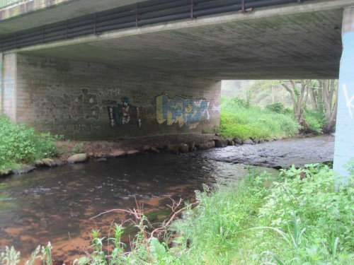 Erster Stopp: die luxuriöse Otter-Berme. Fischotter sind anspruchsvoll, wollen Brücken nur trockenen Fußes queren. Oben hiesse das: Opfer des Autoverkehrs! - Man erkennt, auch Künstler passieren hier.