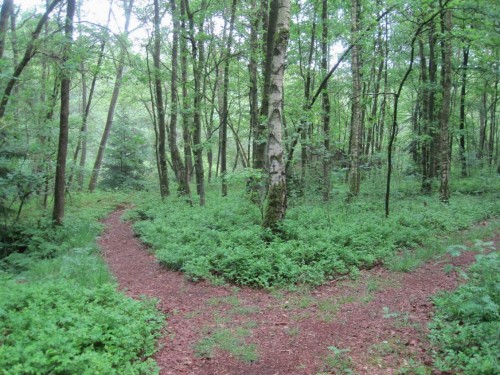Die Zeit läuft, jetzt bloß nicht vom - rechten - Weg abkommen.