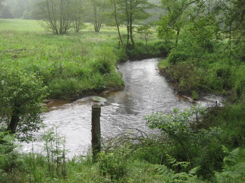 Im Bereich der Querung mit der Este wurde dem Forellenbach durch intensives Angebot von Kies und Geröll die Möglichkeit zur Sohl- und Uferstrukturierung gegeben. Ein äusserst vielfältiges Längs- und Querprofil, das bereits intensiv belaicht wurde, ist der Lohn.