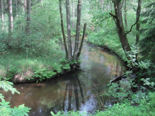 Wie öde dagegen stellt sich ein nahe liegender überbreiter, übertiefer Erosionssand-Mäander dar - eine Wüstenei !