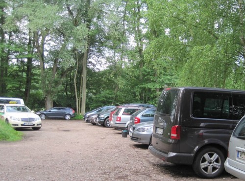 Eine Vielzahl Vereine mit aktiven Mitgliedern hatte sich an der Bestellung beteiligt. Fast könnte man meinen, es wären mehr Menschen als Fische vor Ort gewesen.