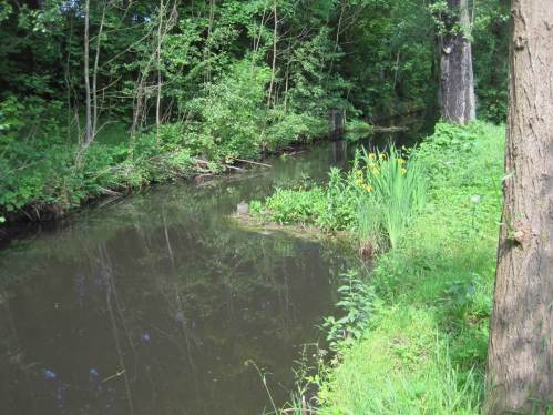 IMG_3400 - vielfältiger werdender Seevekanal