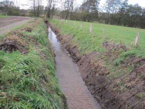 Harte Gewässerunterhaltung bis in Quellbäche, ökologisch empfindliche Laichbäche der Salmonidenregion, auch im Jahr 14 der Wasserrahmenrichtlinie. Herstellen von Wüsten statt Gewässerverbesserung. 