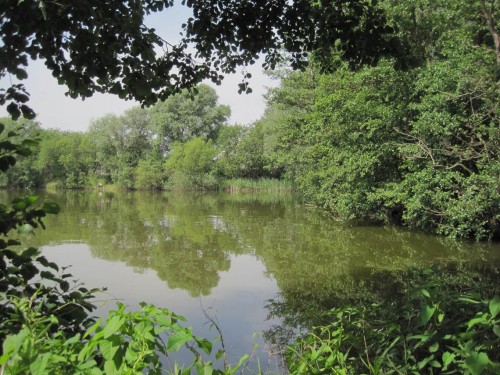 Idyllische Buchten gibt es am Baggersee Neuland.