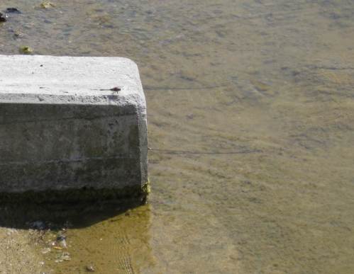 Tatsächlich, Heiss-Beton scheint beliebt zu sein.