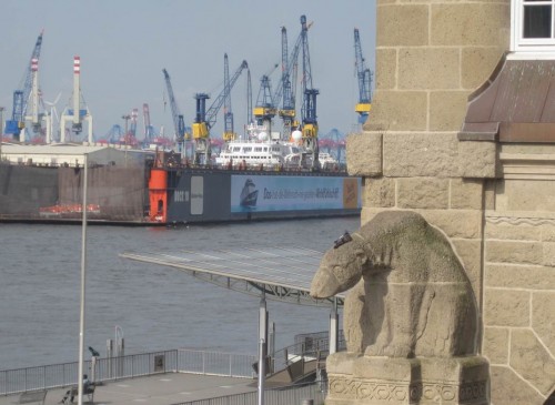 Sonnenbadende Taube auf Eisbär - ein guter Start.