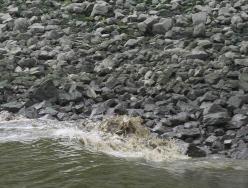 Und weiter geht`s mit Schlickgewirbel.