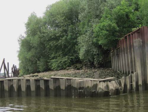 Auch Großgrün gibt`s - Auwald-Ähnliches auf Kunstboden in Kunstumgebung.