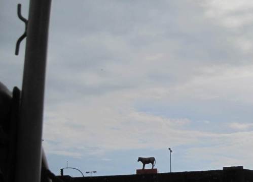 Für alles ist gesorgt - wer wil, kann hier um das Goldene Kalb tanzen.