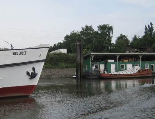"Hiddensee" - vor wertvollem Süßwasserwatt.