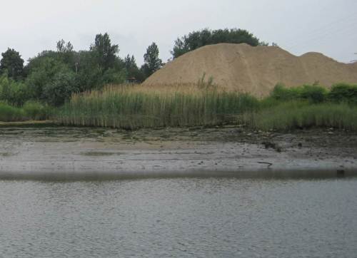 Mitten im Hafen: Sukzesson Sand-/Schlickwatt - ist das eine Düne? Nein, wohl ein Bausandlager ...