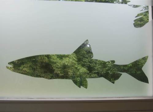 Landschaft durch Fisch-Silhouetten sieht man übrigens auch von innen nach draussen - hier durch den Lachsverwandten Stint.