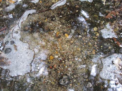 Schönster Moränenkies ist frei gespült - kleines Modell, wie man sich hier im Umland den Grund von Bächen von Natur aus vorzustellen hat: alles Kiesbäche!