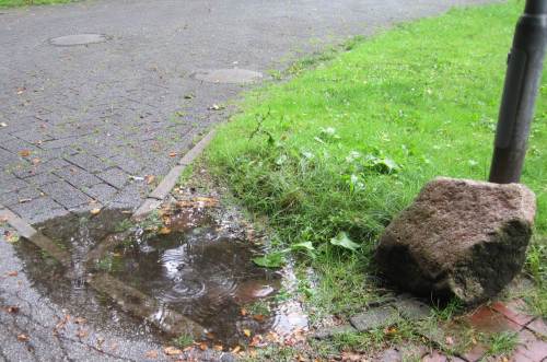 Endlich Regen - wir brauchen das Wasser!