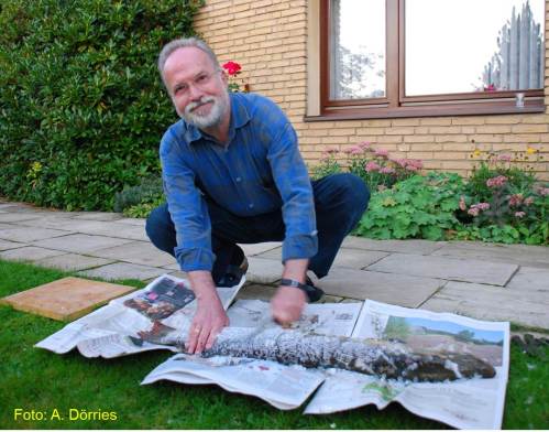 Frischer Fisch soll frisch verarbeitet werden - Schuppen.