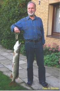 Bei 97 cm Länge bringt der Fisch 12 Pfund auf die Waage.