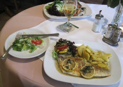 Hoppla, dies ist ein super Zanderfilet der Bodenwerder Gastronomie. Hier in der klaren, nicht allzu tiefen Oberweser ist der Zander sicherlich kein standorttypischer Fisch (gern aber von Anglervereinen eingebürgert).