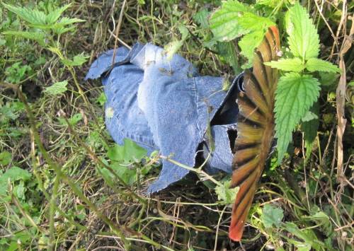Herbstfarben rot-gelb-schwarz-blau-grün in der Weseraue. Hinweis: das Blau ist ein Jeans-Bein eines 1,80 m Erwachsenen. Dazu folgt später ein spezieller Blog-Beitrag.