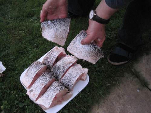 Fertige Filetstücke für die Tiefkühltruhe - herzlichen Dank unseren Gastgebern für gute Versorgung!