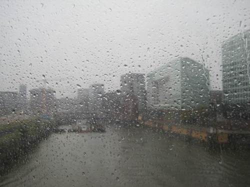 Perspektive etwa wie beim ersten, dem Sonnenbild; ich freue mich zweimal - vor allem: WIR BRAUCHEN DAS WASSER und: beim Einsteigen in HH und beim Aussteigen zu Hause regnete es weniger, so dass es ein gemütlicher Fußweg wurde.
