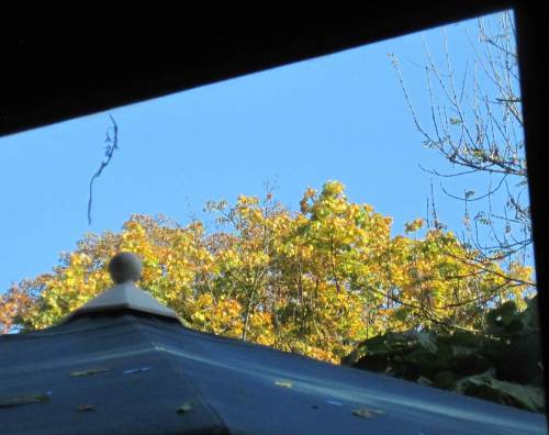 Mittäglicher Blick aus dem Restaurant - kein Grund zum Klagen.