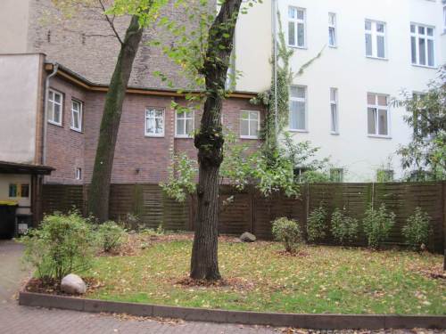 Morgens im Innenhof - sehr schön durchgrünt ist der, nachdem all der Bauschutt entfernt wurde - Altbäume, Jungbäume, Büsche, Stauden. Ab Frühjahr wird`s wieder bunter.