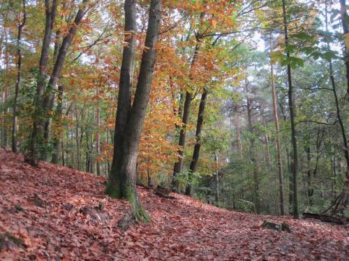 Teufel auch, schön hier - aber wo ist der Weg zur Spitze, zum Start der Führung!? (Wir fragen. Die einen sagen so, die anderen so.)