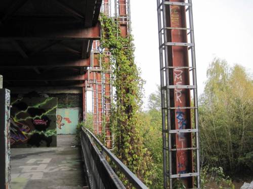 So langsam, aber sicher, wird`s grüner.