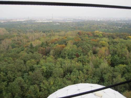 Grün ist der Grunewald - mit startenden Herbstfarben.