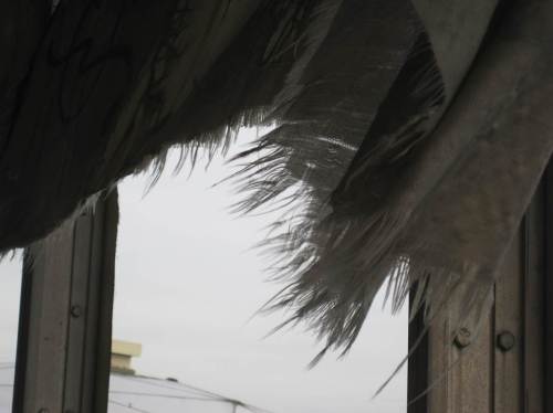 Etliches ist in Fetzen gegangen - fast künstlerisch anzusehen.